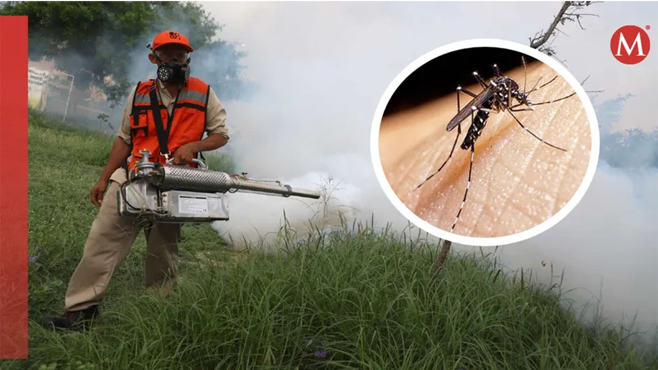 Nuevo León registra récord en casos de dengue