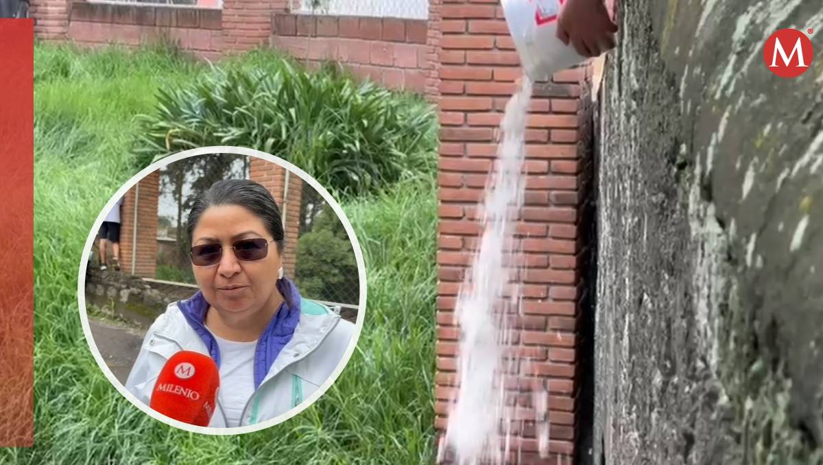 Depositaron cuatro toneladas de cascarones de huevo en el río Acalote, en Capulhuac. Especial
