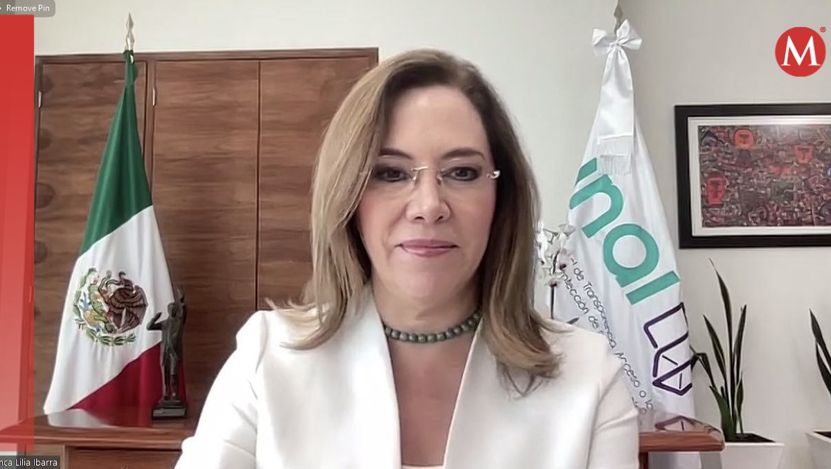 La comisionada del INAI, Blanca Lilia Ibarra Cadena, en la sesión del instituto. | Especial
