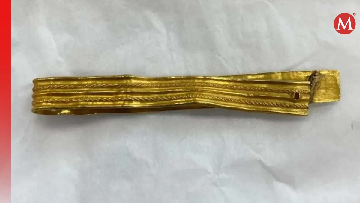 Brazalete militar romano encontrado por Rowan y su perro | Chichester District Council