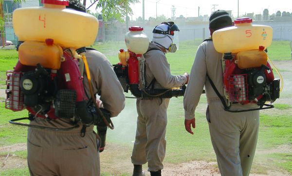 Debe hacerse un buen manejo de repelentes, insecticidas y larvicidas, si se usan. Archivo