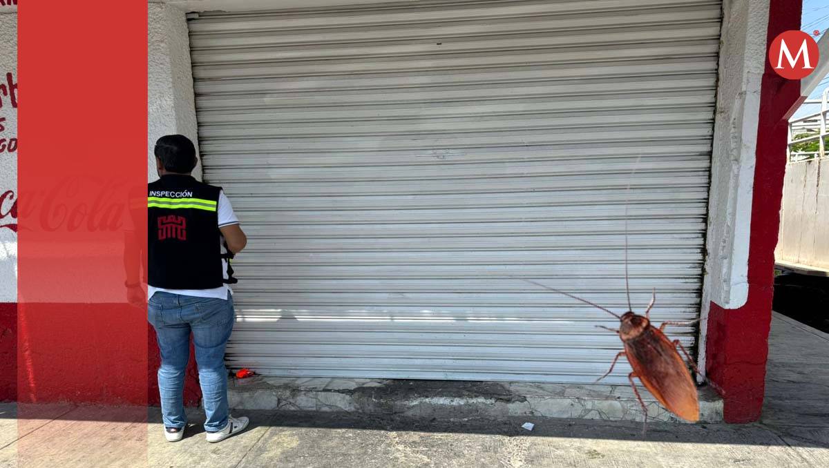 En Torreón clausuran carnicería por presencia de cucarachas y ratones. l Especial