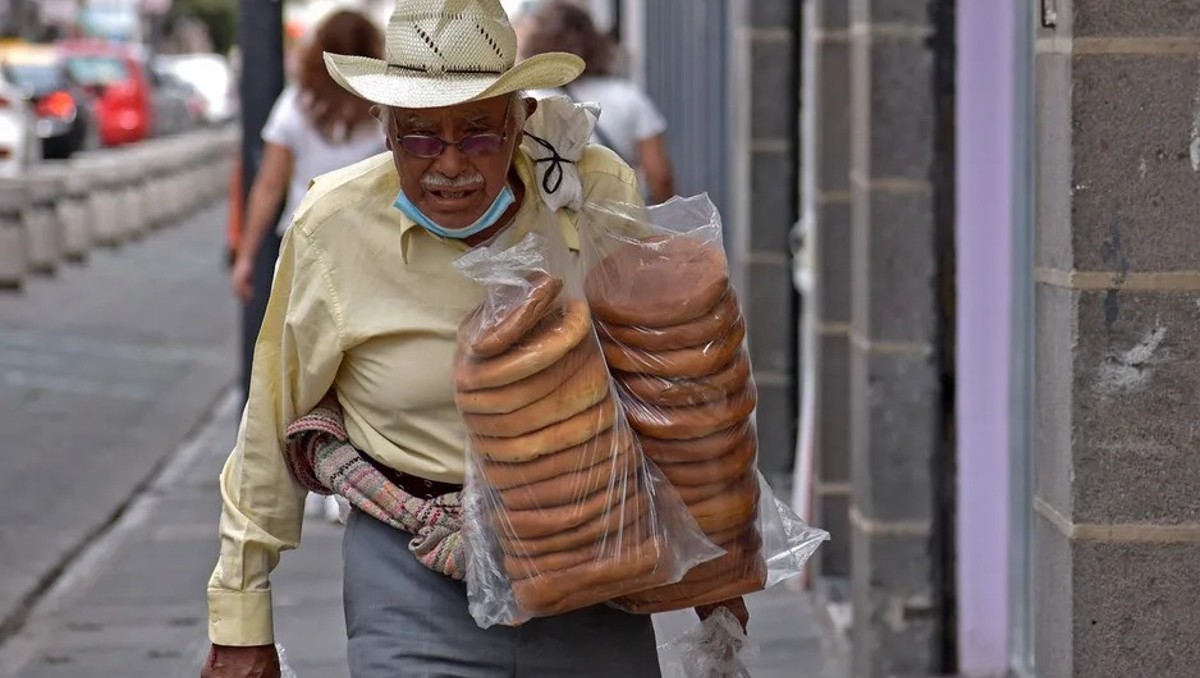 Adultos mayores (Agencia Enfoque)