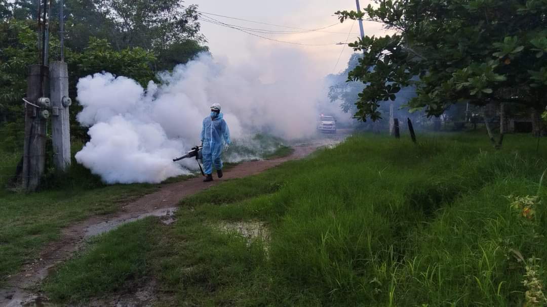 Dengue agresivo en Guerrero: 21 muertes y alarma en municipios más afectados. | Especial
