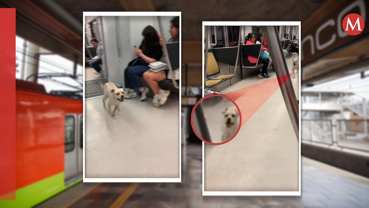El Metro no ha informado sobre el caso. | Especial