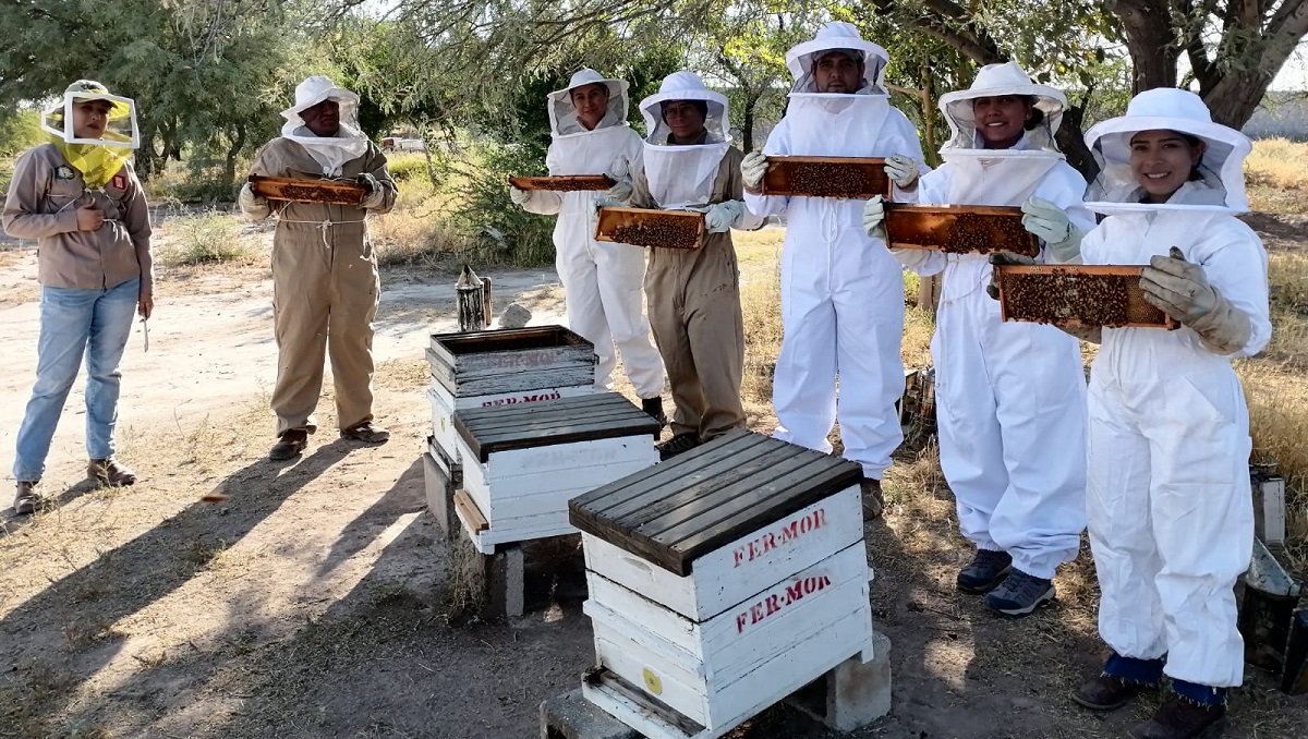 . En la primera sesión los asistentes conocerán sobre las abejas. (cortesía)