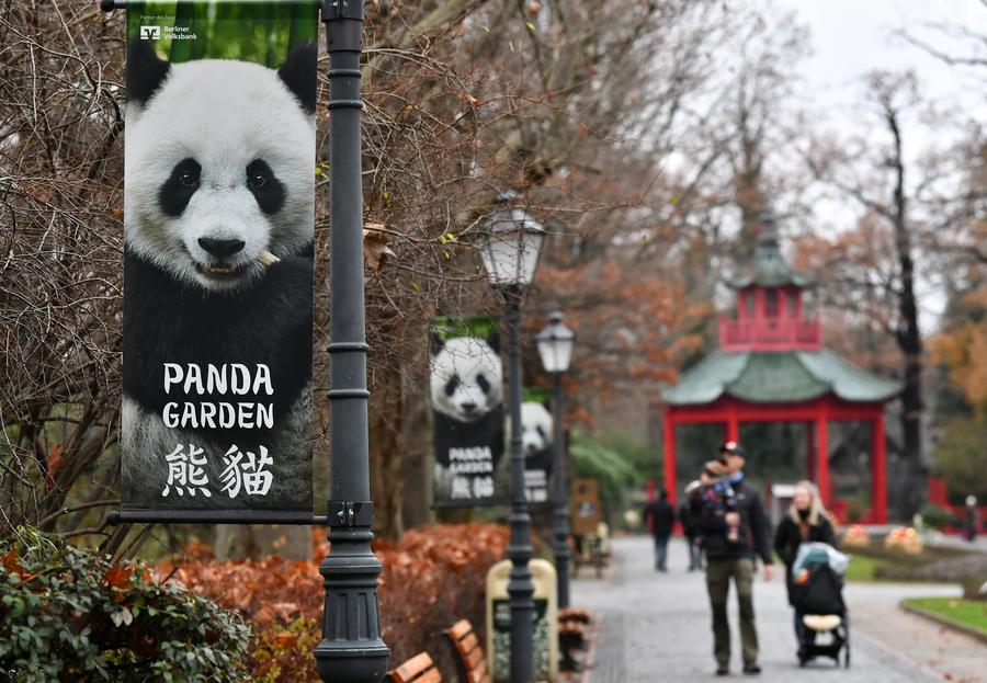 Carteles del panda gigante en el zoológico de Berlín, Alemania el 14 de diciembre de 2023. (Xinhua/Ren Pengfei)