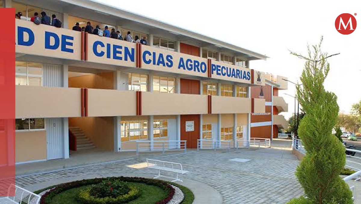 Civiles armados lograron escapar tras robar en la Facultad de Ciencias Agropecuarias de la UAEM. | Especial