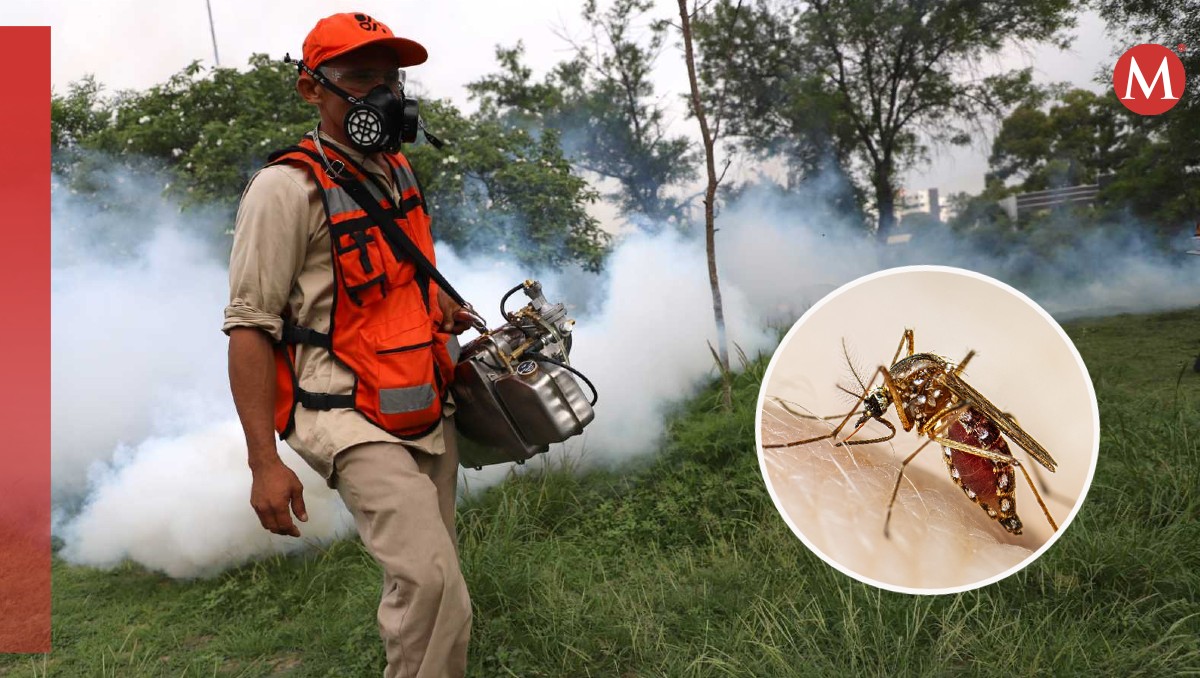 Fumigación en parque Arroyo Seco, Nuevo Leon por dengue / Foto: Luis Guerra