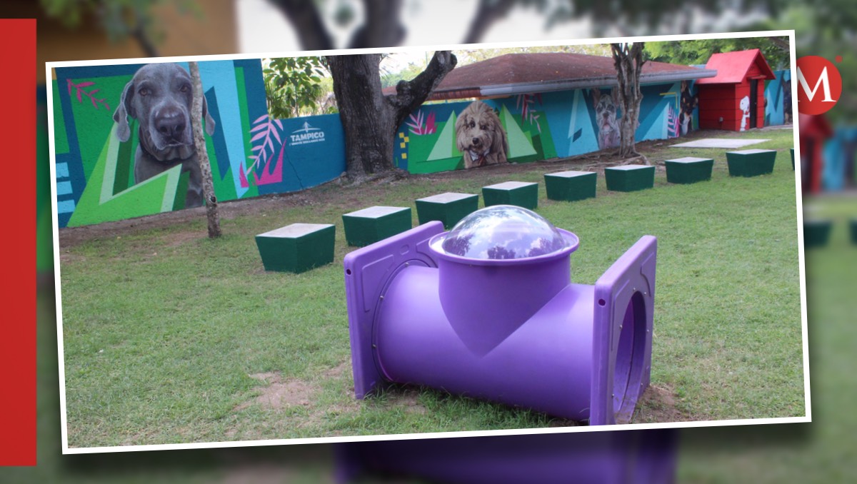 Parque para perros en Tampico en la colonia Águila. (Yazmín Sánchez)