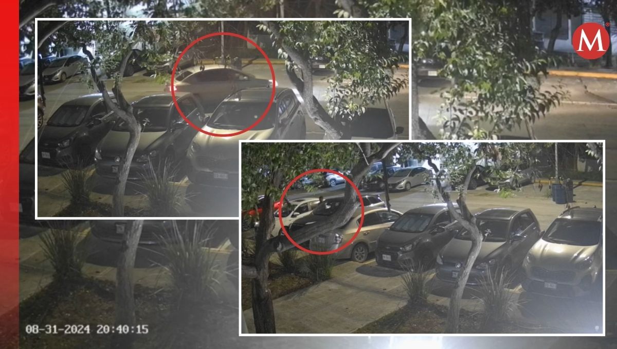 el conductor desciende del auto para verificar que no haya nadie a su alrededor | Especial
