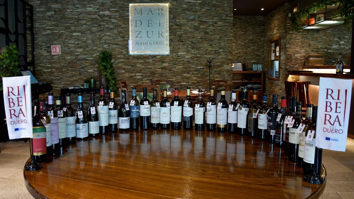 Conoce más de la primera etapa de la cata a ciegas "The Best of Ribera del Duero"