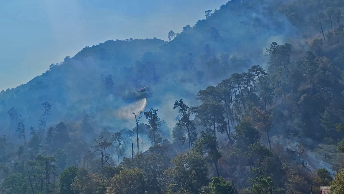 Incendio forestal en Puebla | Especial
