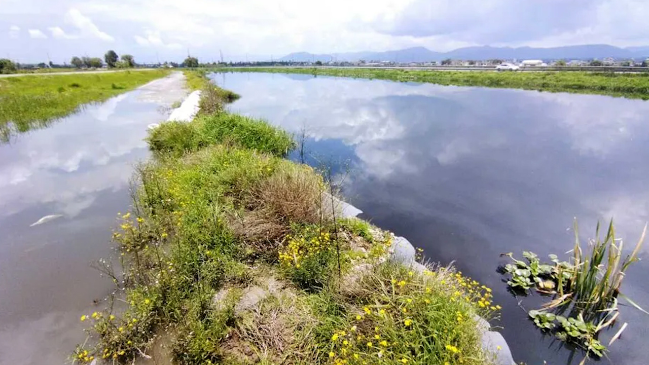 Río Lerma se encuentra al 100% de su capacidad; despliegan operativo preventivo en San Mateo Atenco