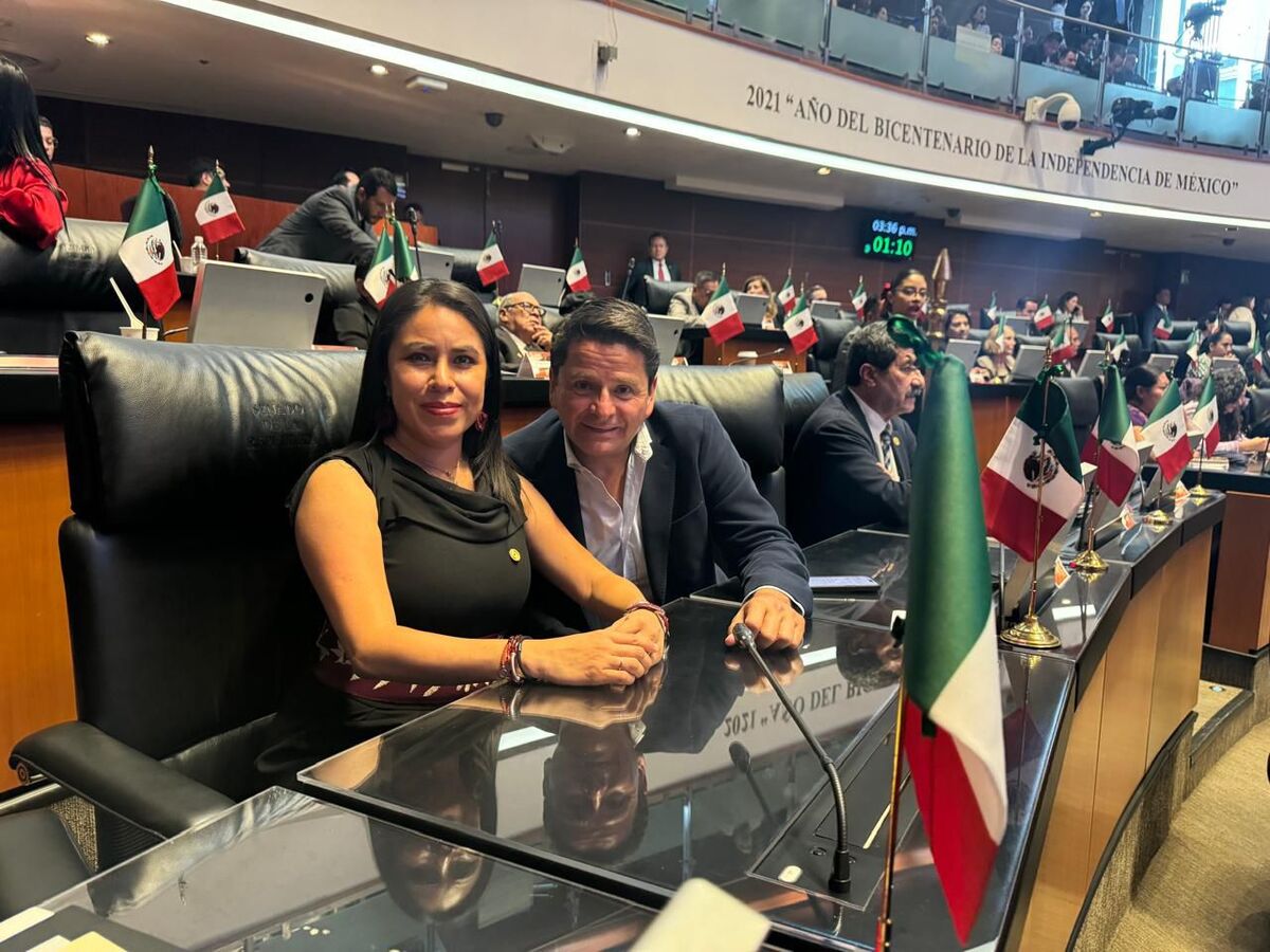 Simey Olvera y Cuauhtémoc Ochoa son elegidos para liderar comisiones en el Senado de la República