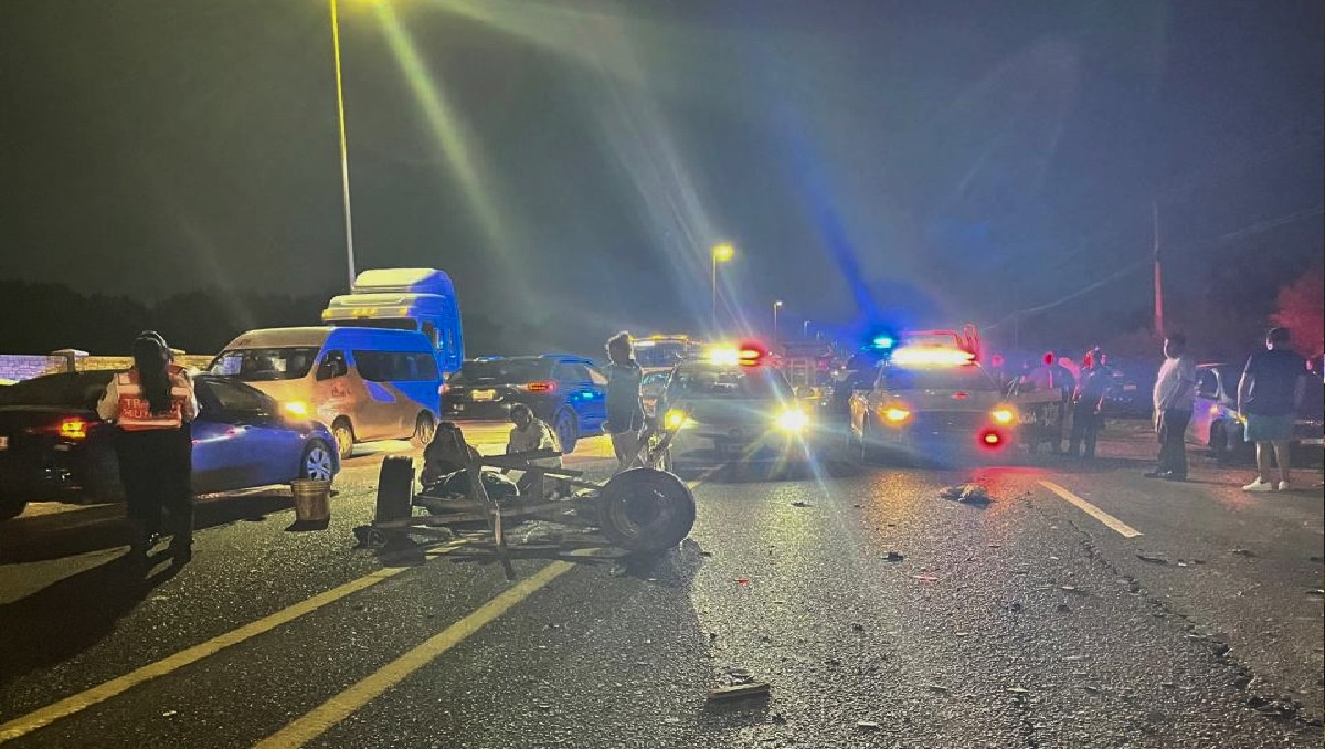 El choque causó la muerte de la mula y la pérdida total del auto. | Especial