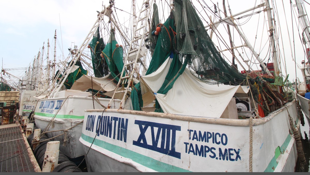 Flota camaronera de Tampico. (Yazmín Sánchez)