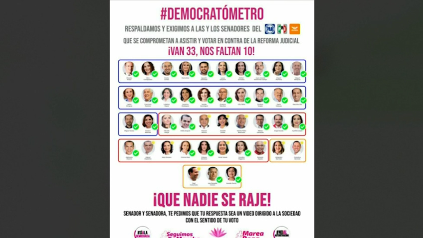 'Marea Rosa' llama a senadores de la oposición para votar contra reforma judicial