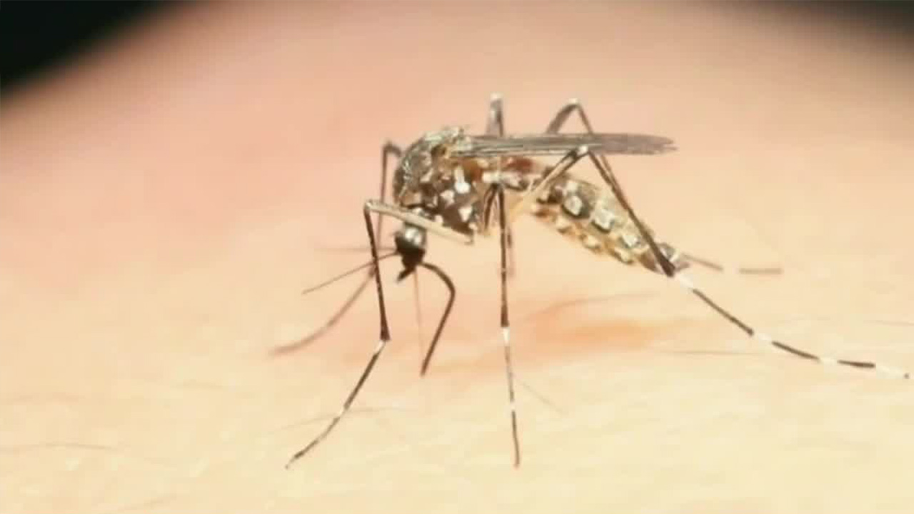 Autoridades sanitarias confirmaron cuatro víctimas mortales por dengue en Oaxaca