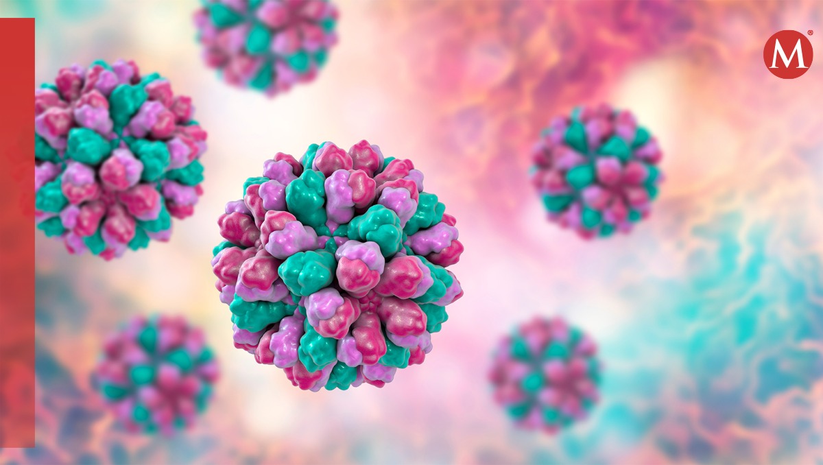 Norovirus