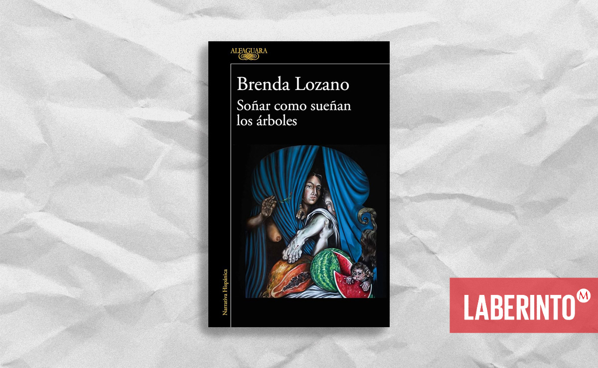 Portada de 'Soñar como sueñan los árboles', de Brenda Lozano. (Alfaguara)