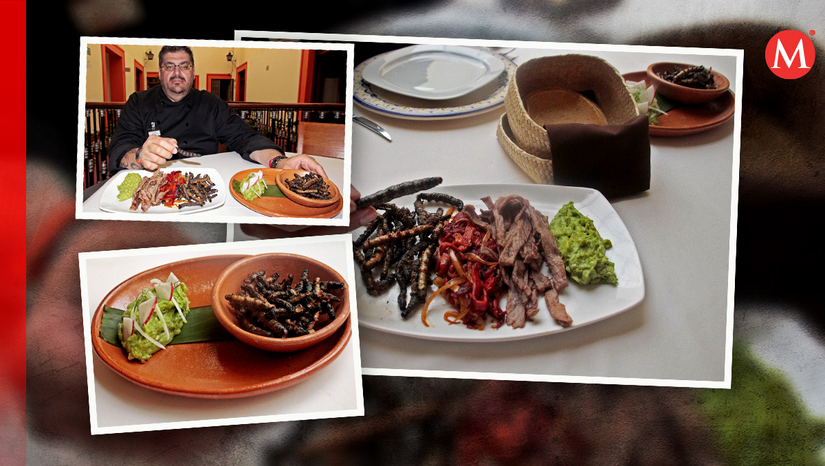 Cuetlas, los gusanos del árbol que dan sabor a platillos poblanos | Melanie Torres