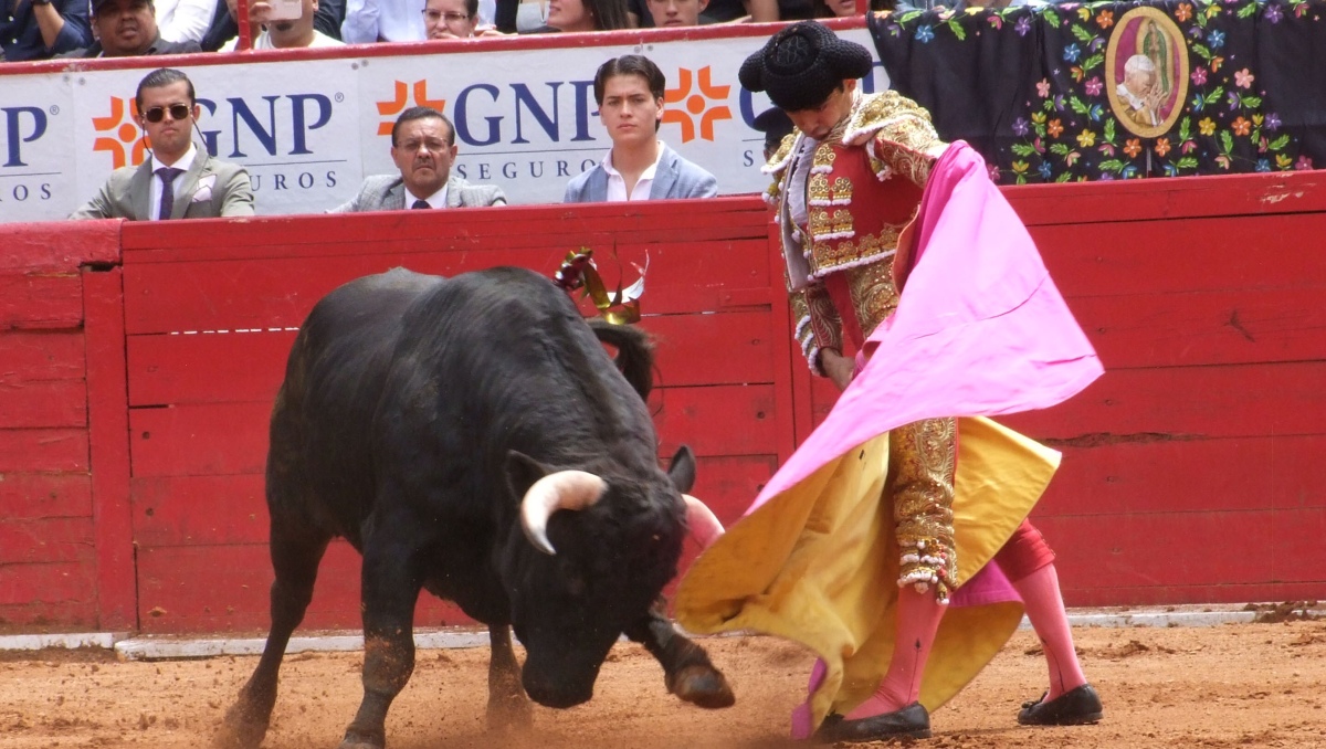 Jaime Navarrete en la corrida de toros en la Plaza México (Jorge Matchain)