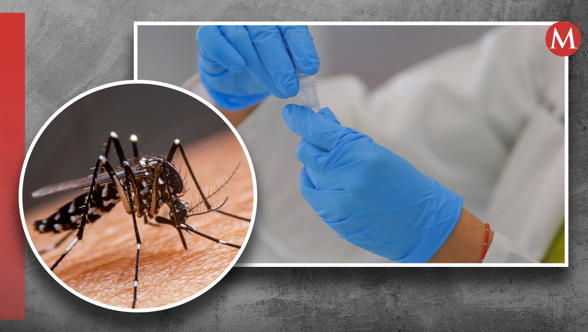 De los casos de dengue 127 se concentran en la Comarca Lagunera | Especial