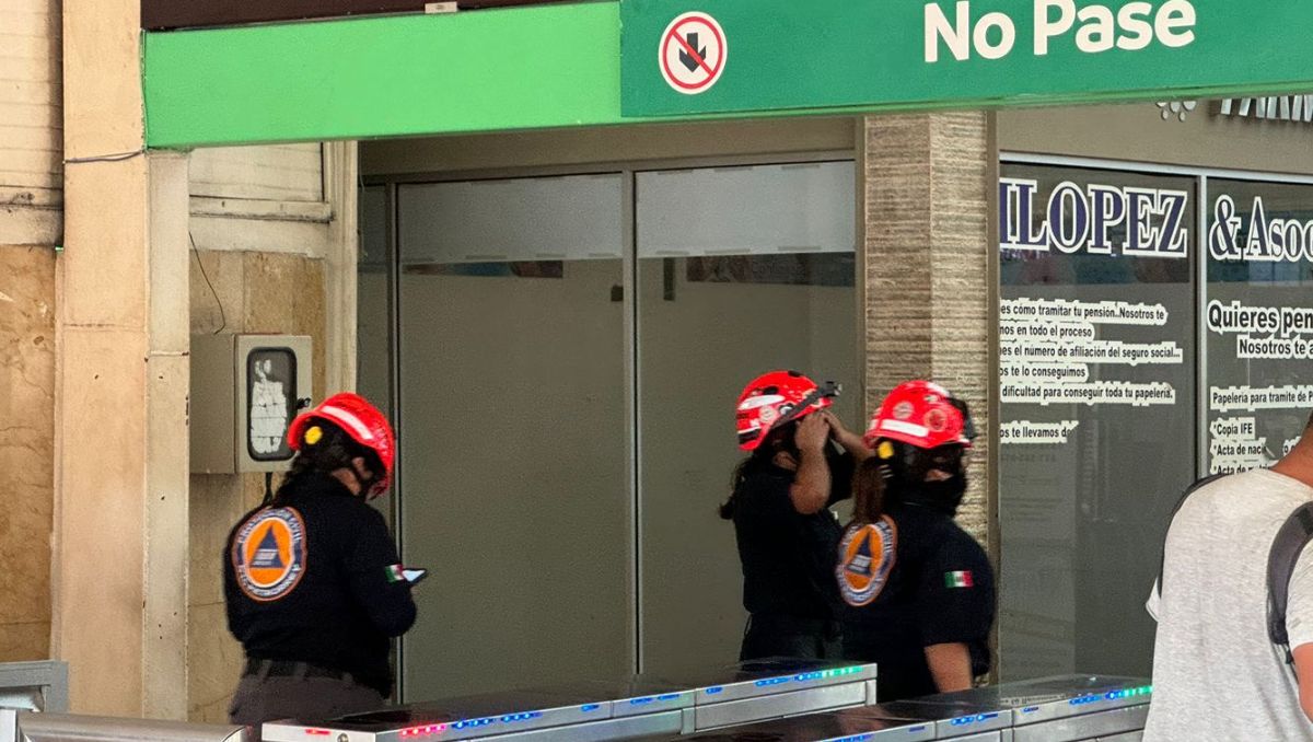 Hombre se arroja a la línea 2