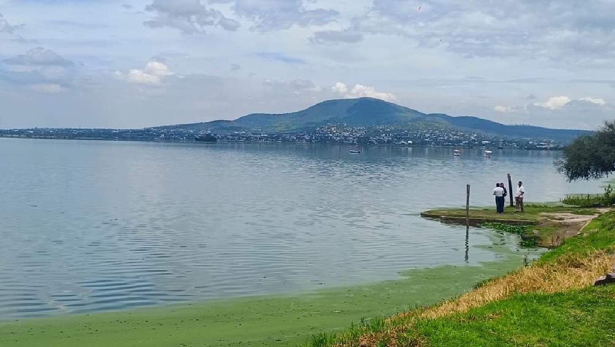 Laguna de Zumpango se encuentra a 70% de su almacenamiento. Foto: (Especial)