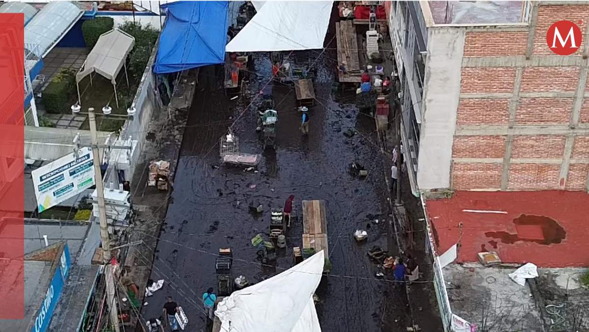 El agua arrastró basura y toneladas de lodo lo que generó un alud que provocó severas afectaciones. Especial