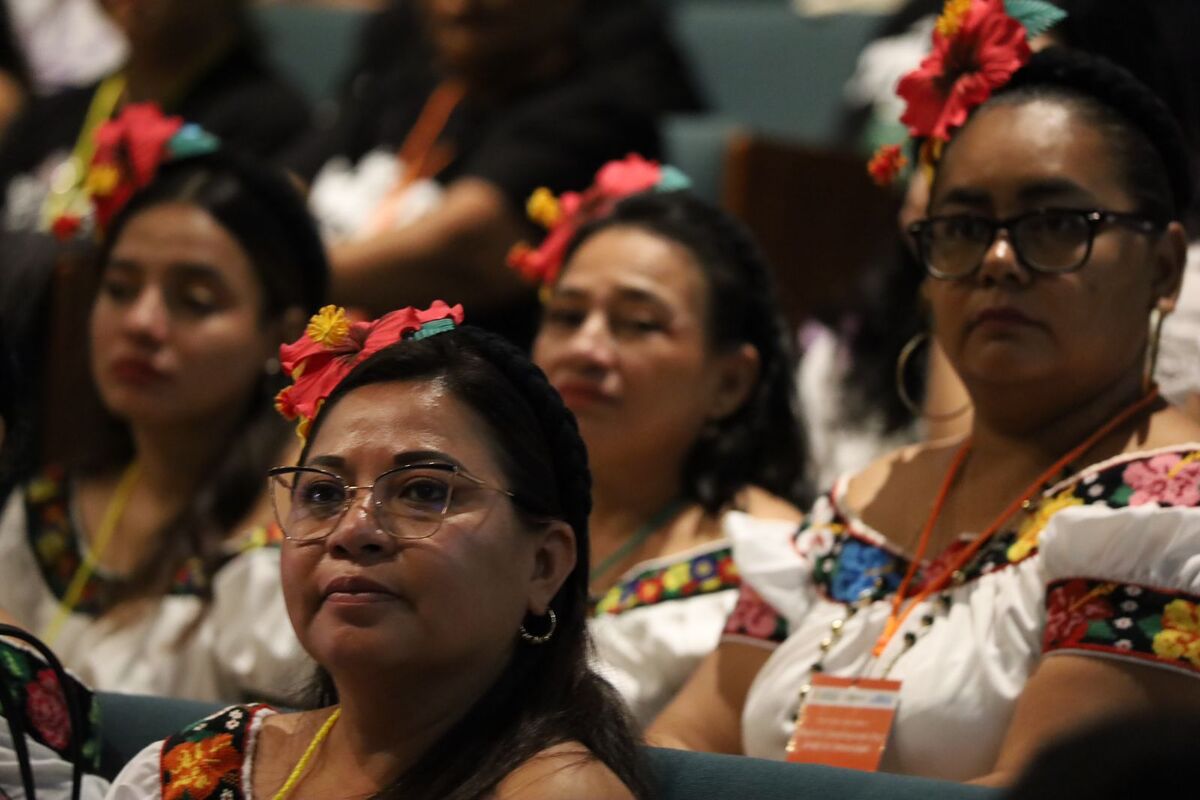Reunion de Inmujeres con la ONU