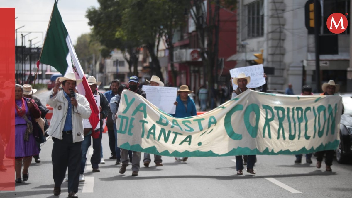 Los manifestantes piden que frenen la tala en los bosques de San José del Rincón. Foto: (Tania Contreras)