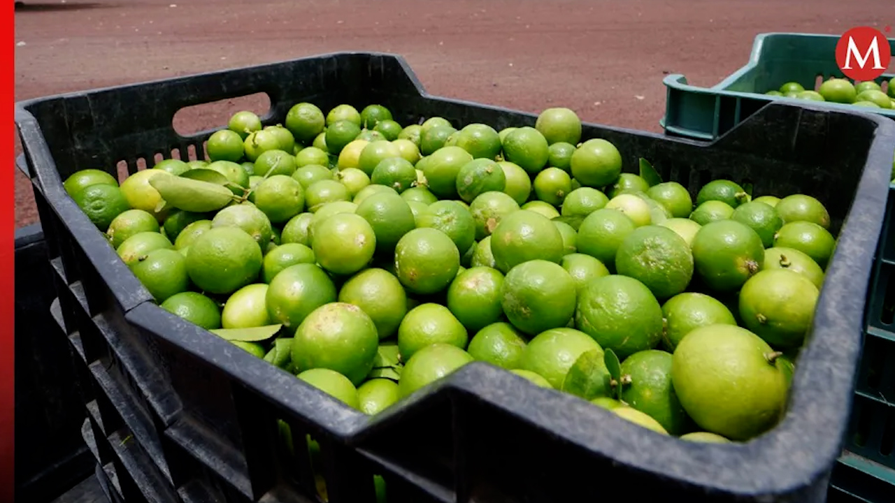 Empacadoras de limón de Buenavista suspenden labores por asesinato de empresario