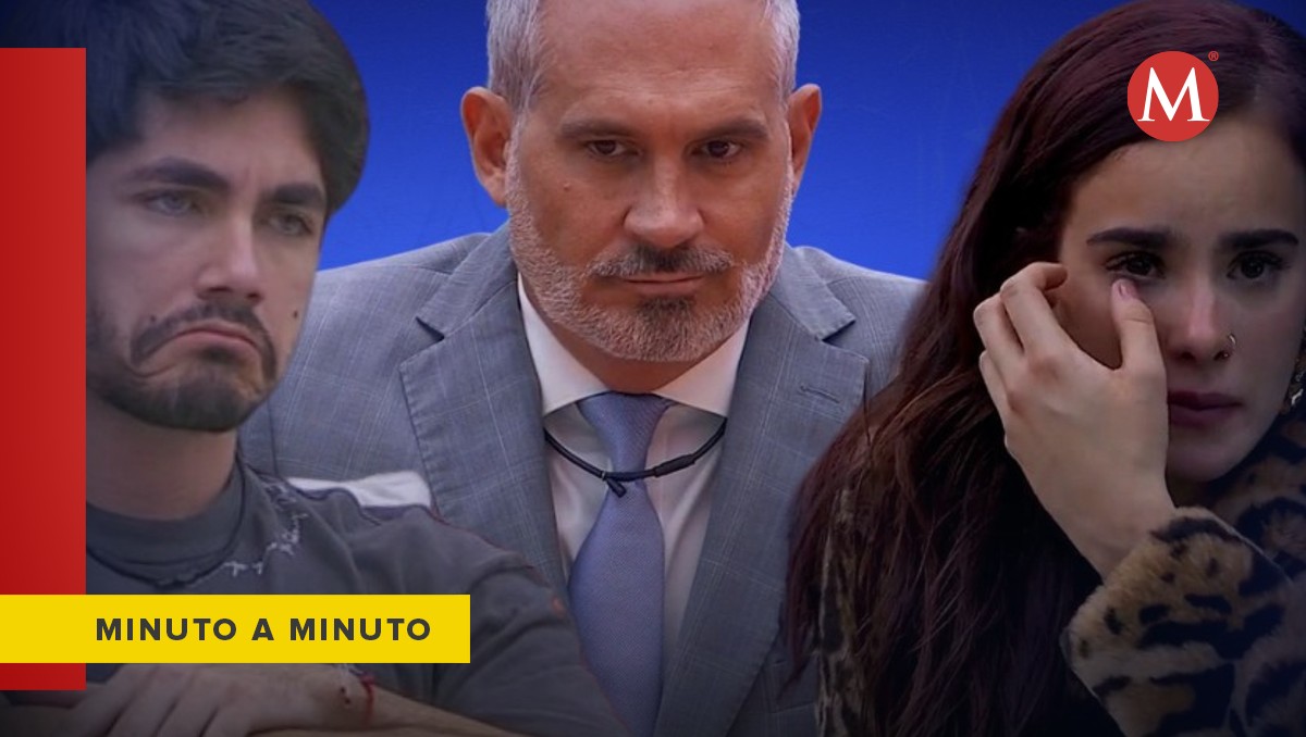Sigue lo que sucede en la gala de salvación / Especial