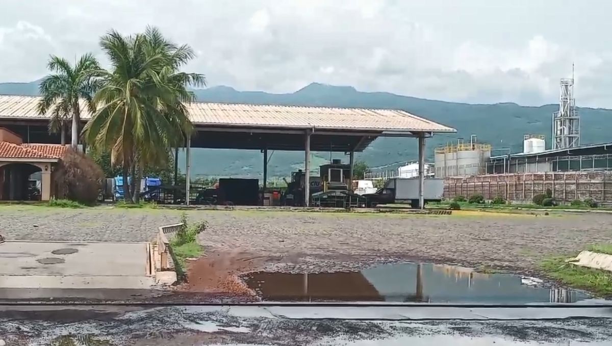 Cierran empacadoras de limones en Buenavista, Michoacán. | Especial