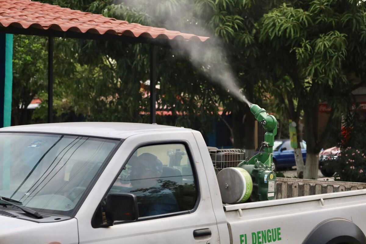 Comienzan fumigaciones contra el dengue en Colima | Foto: Especial
