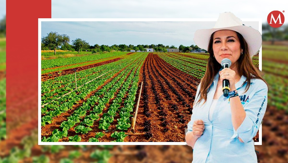Nuevo titular de la Secretaría del Campo de Guanajuato | Especial