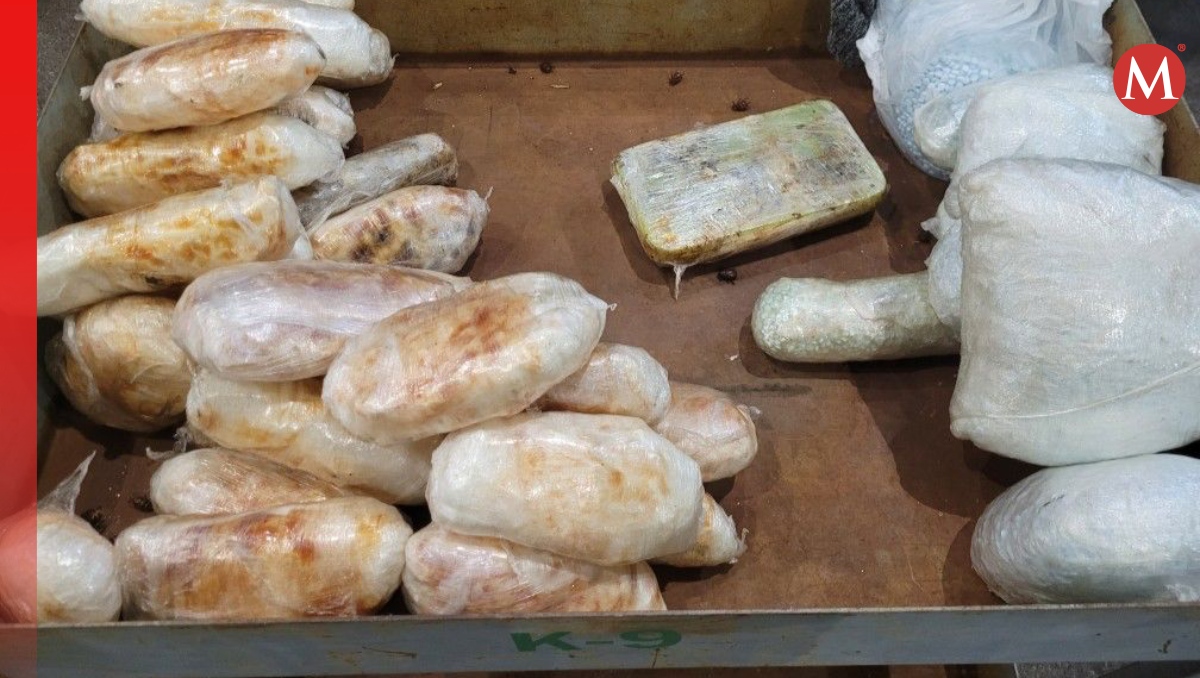 Perro adiestrado descubre varias dosis de drogas (Especial)