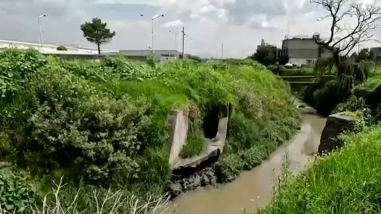 Toxitour', un paseo para exhibir la contaminación del agua en Lerma, Edomex | Milenio Hábitat
