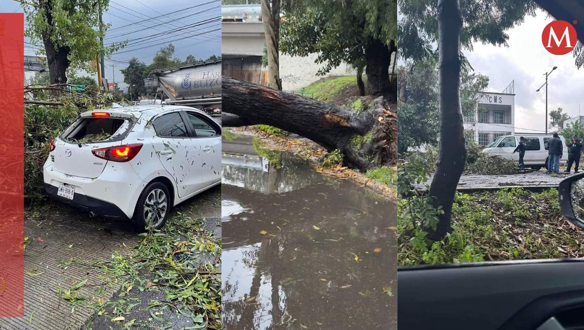 Bomberos de Naucalpan retirar los 90 árboles caídos. Carlos Zaid