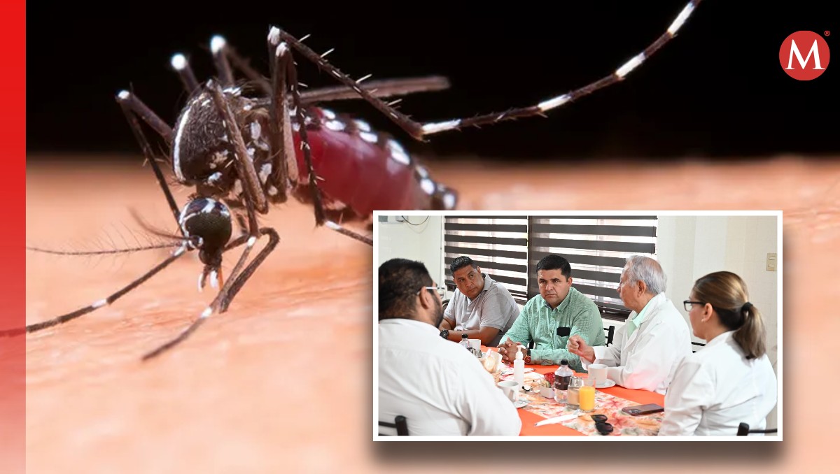 Coordinan acciones para prevención del dengue en escuelas de Lerdo (Especial)