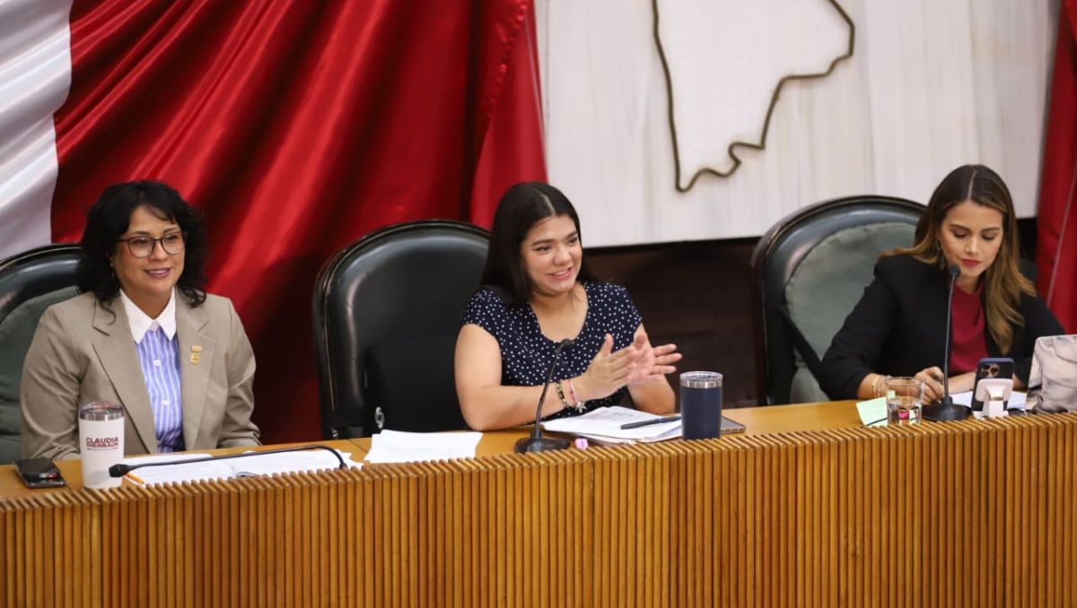 La diputada del PAN, Cecilia Robledo, pidió licencia por su embarazo | Luis Guerra