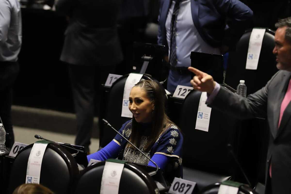 Noemí Luna, coordinadora del grupo parlamentario del PAN en San Lázaro | Foto: Octavio Hoyos