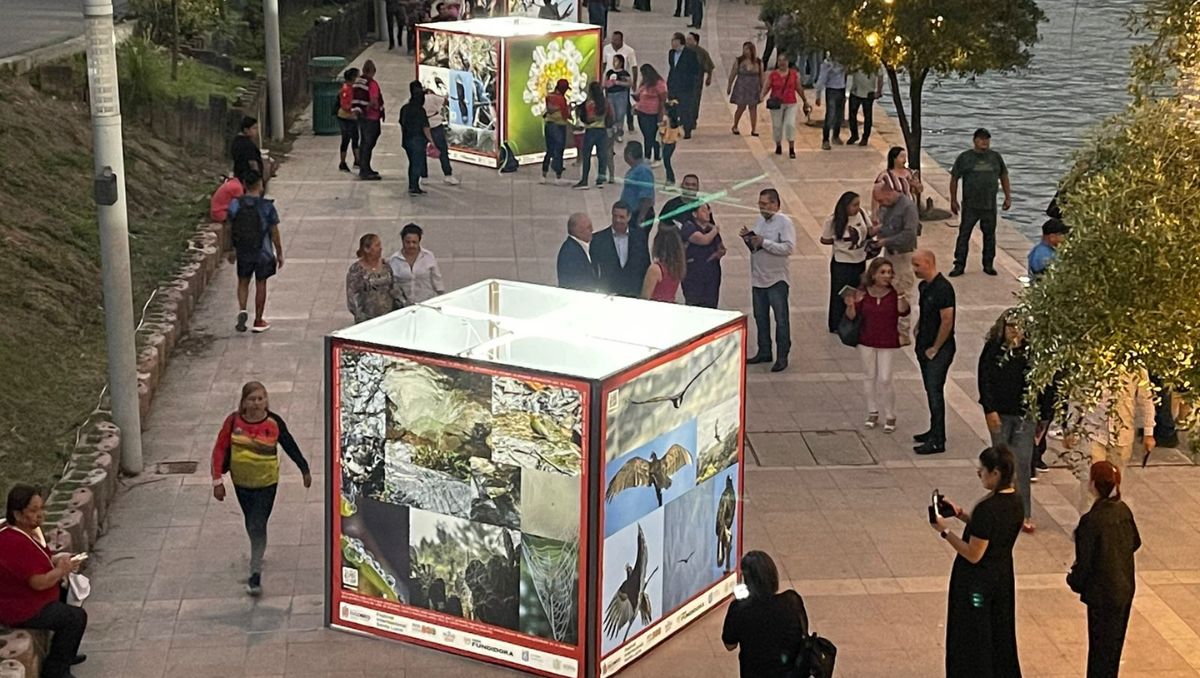 Exposición fotográfica "El Cerro del Topo" en Monterrey / Uriel Reyna.