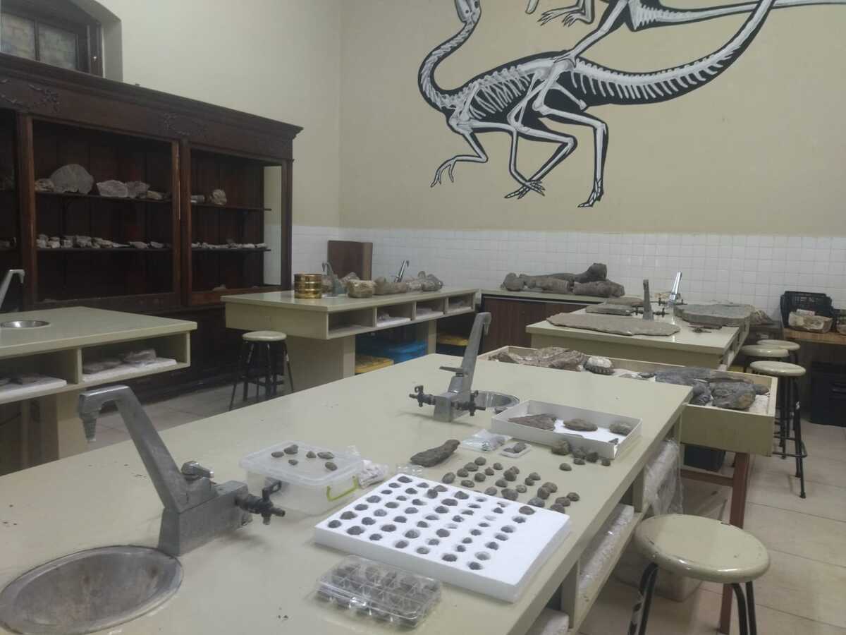 La intención es instalar vitrinas y estanterías para exhibirlos. | Esmeralda Sánchez