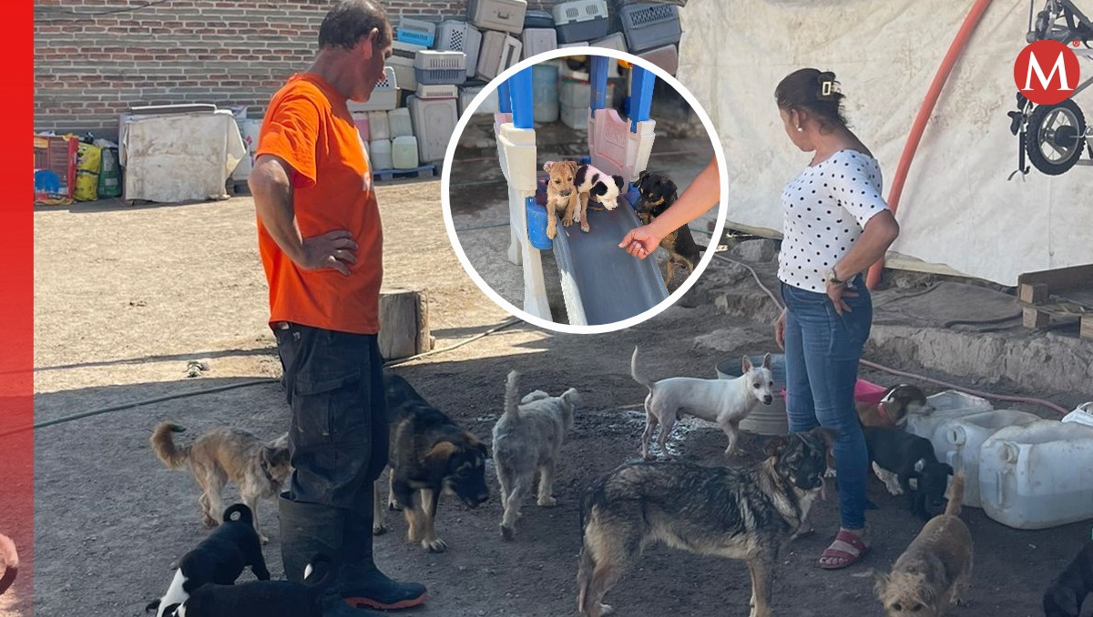 Son más de 200 perros y cachorros los que habitan en este refugio. (Karla Rodríguez)