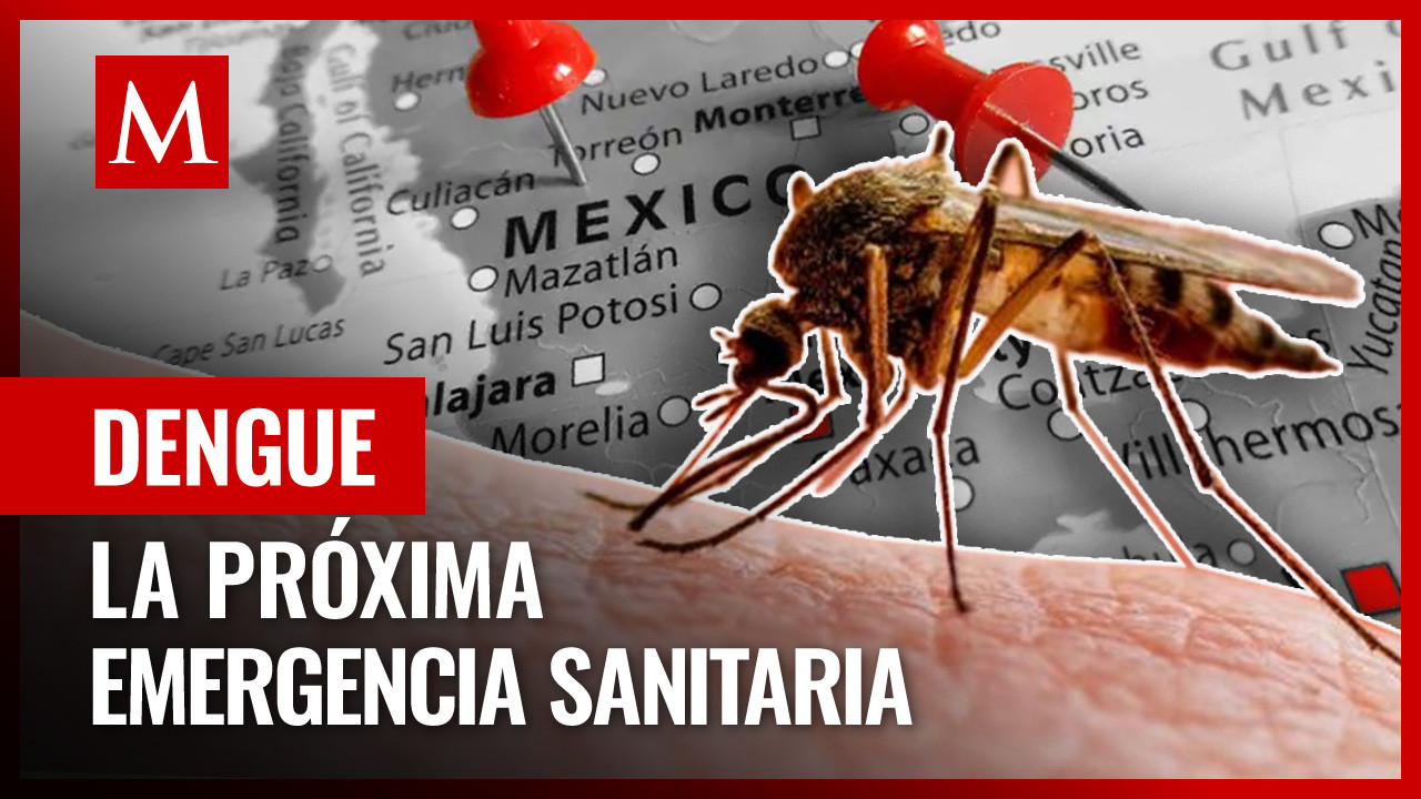 ¿Por qué el dengue puede desencadenar una emergencia sanitaria en México?