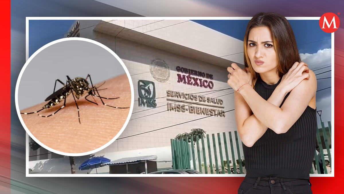 La Secretaría de Salud Oaxaca reportó el aumento de casos por esta epidemia en la región. | Especial