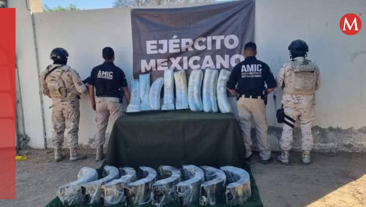Autoridades no precisaron si hubo personas detenidas. | Especial
